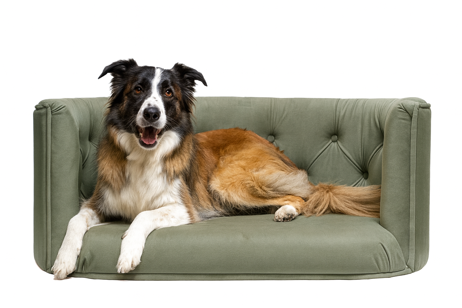 Pelíšek Chester pro velké psy - Tmavě mátový samet