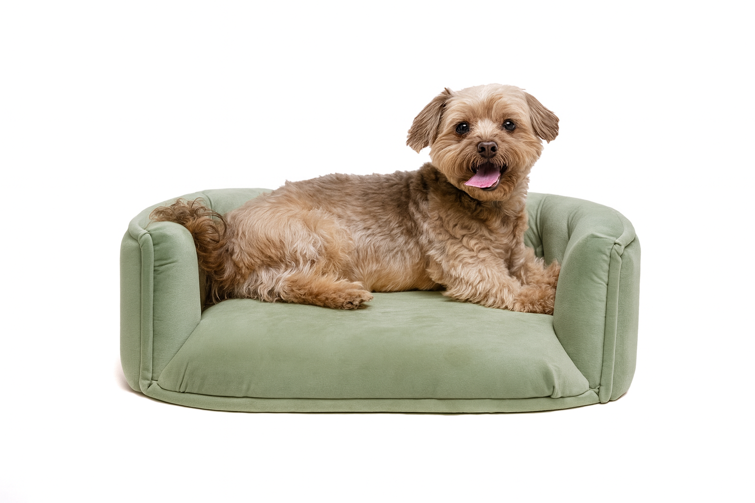 Chesterfield pelíšek pro malé psy – Světle mátový samet