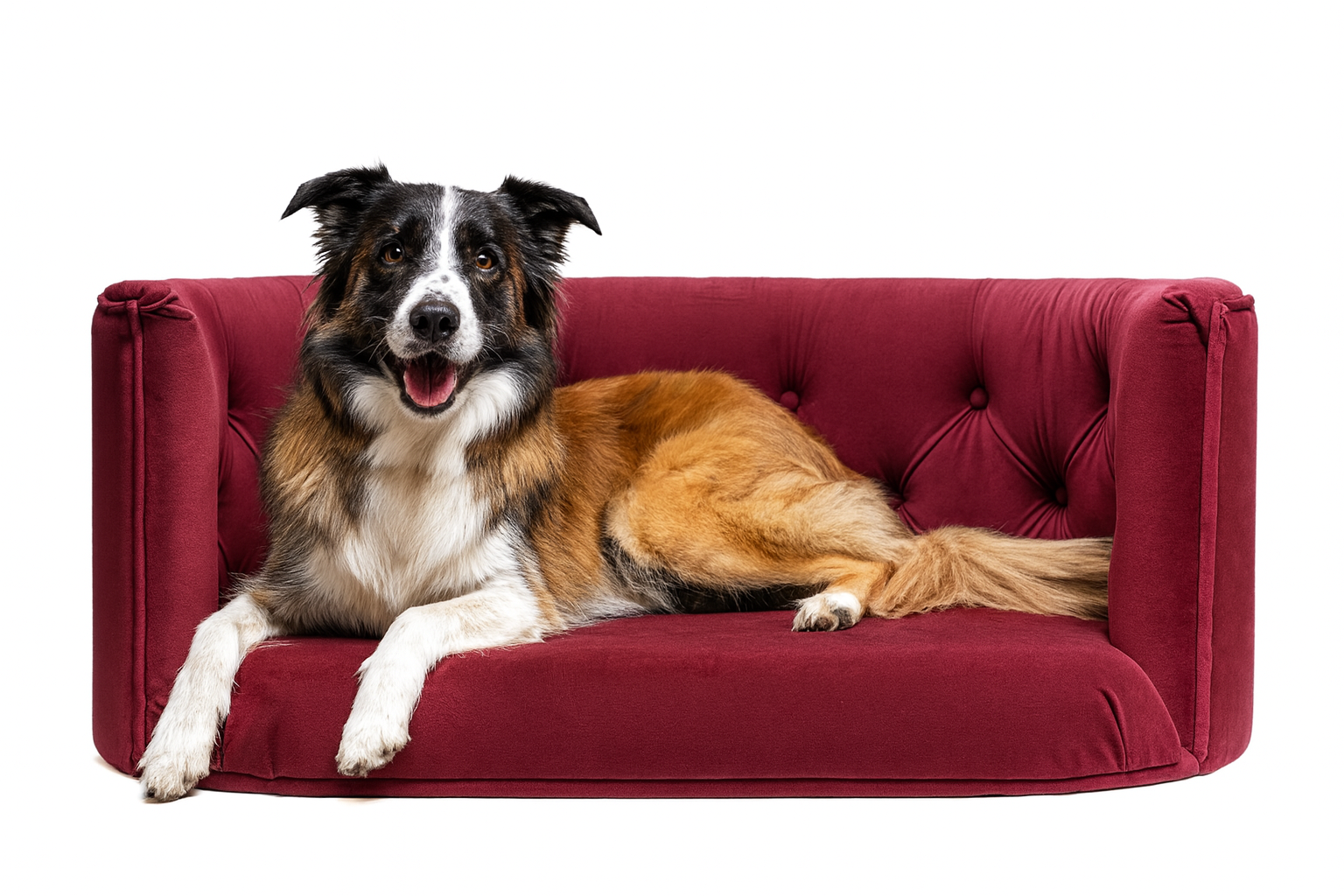 Pelíšek Chester pro velké psy - Ostružinový samet