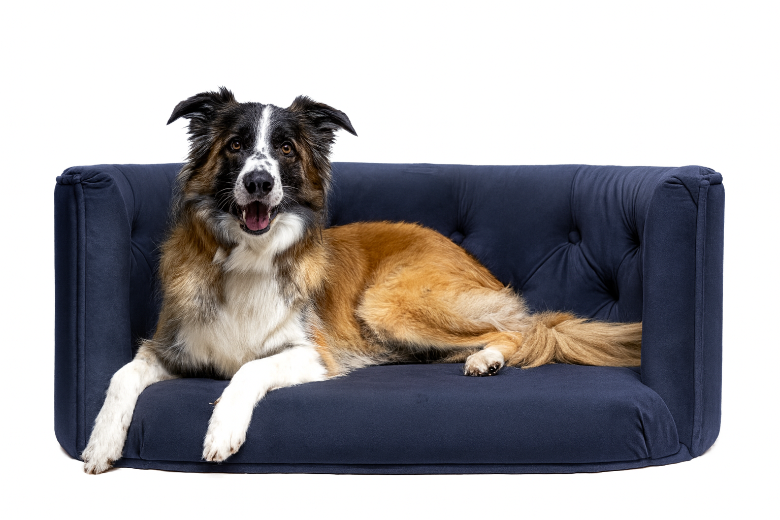 Pelíšek Chester pro velké psy - Tmavě modrý samet