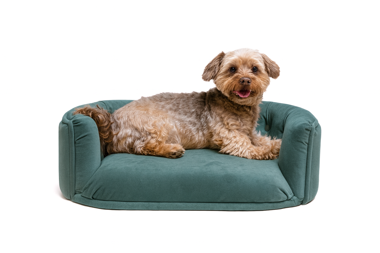 Chesterfield pelíšek pro malé psy – Petrolejový samet