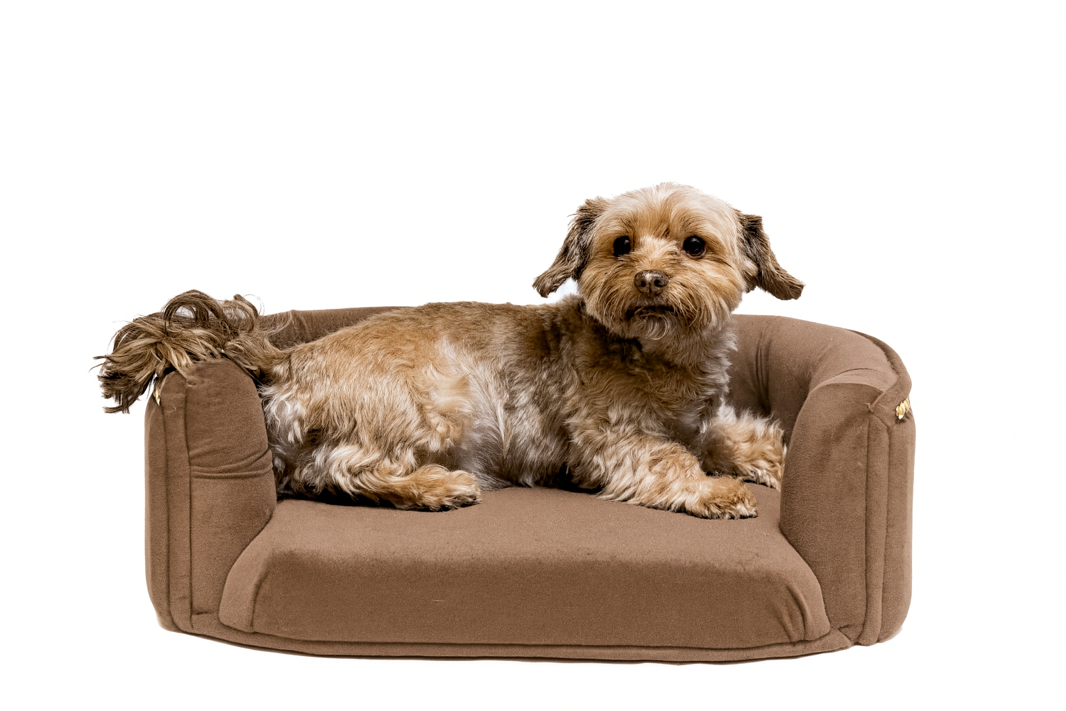 Chesterfield pelíšek pro malé psy – Tmavě hnědý samet