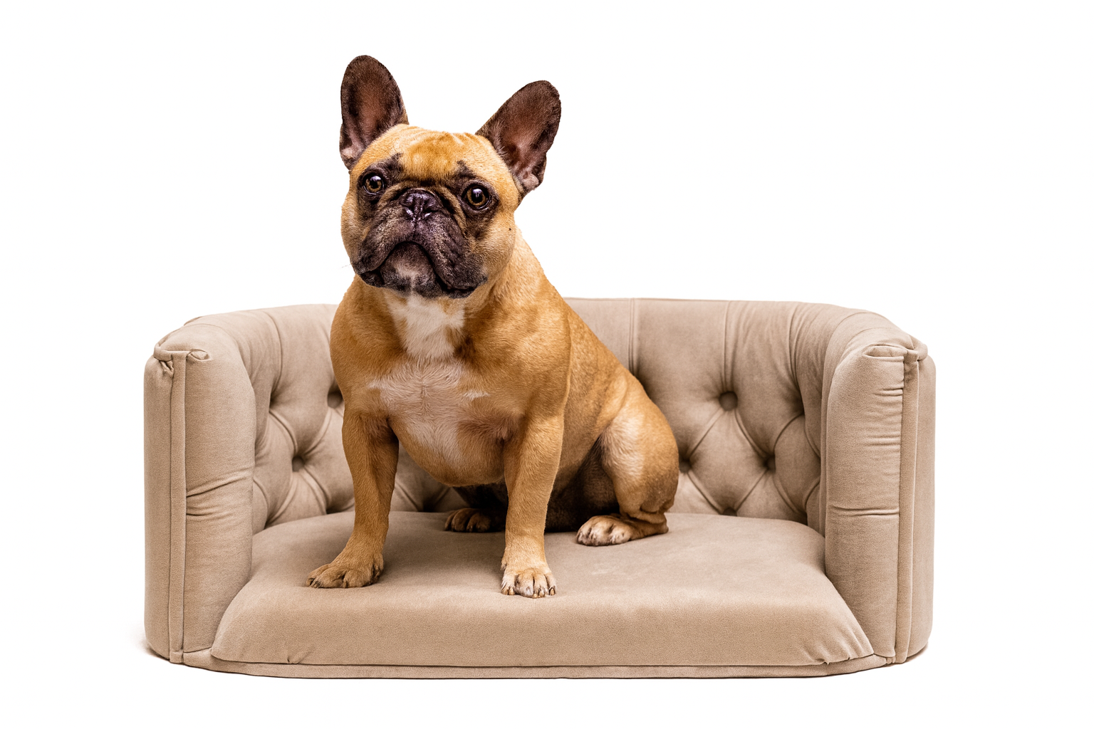 Pelíšek Chester pro střední psy – samet Cappuccino