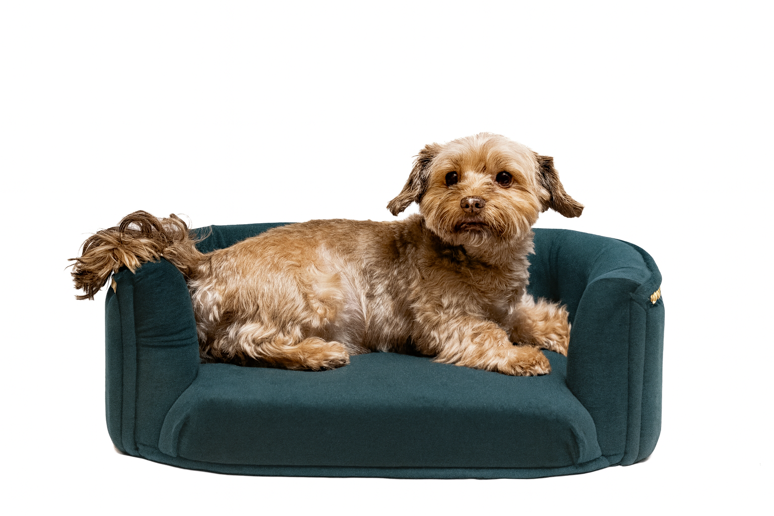 Chesterfield pelíšek pro malé psy – Tmavě petrolejový samet