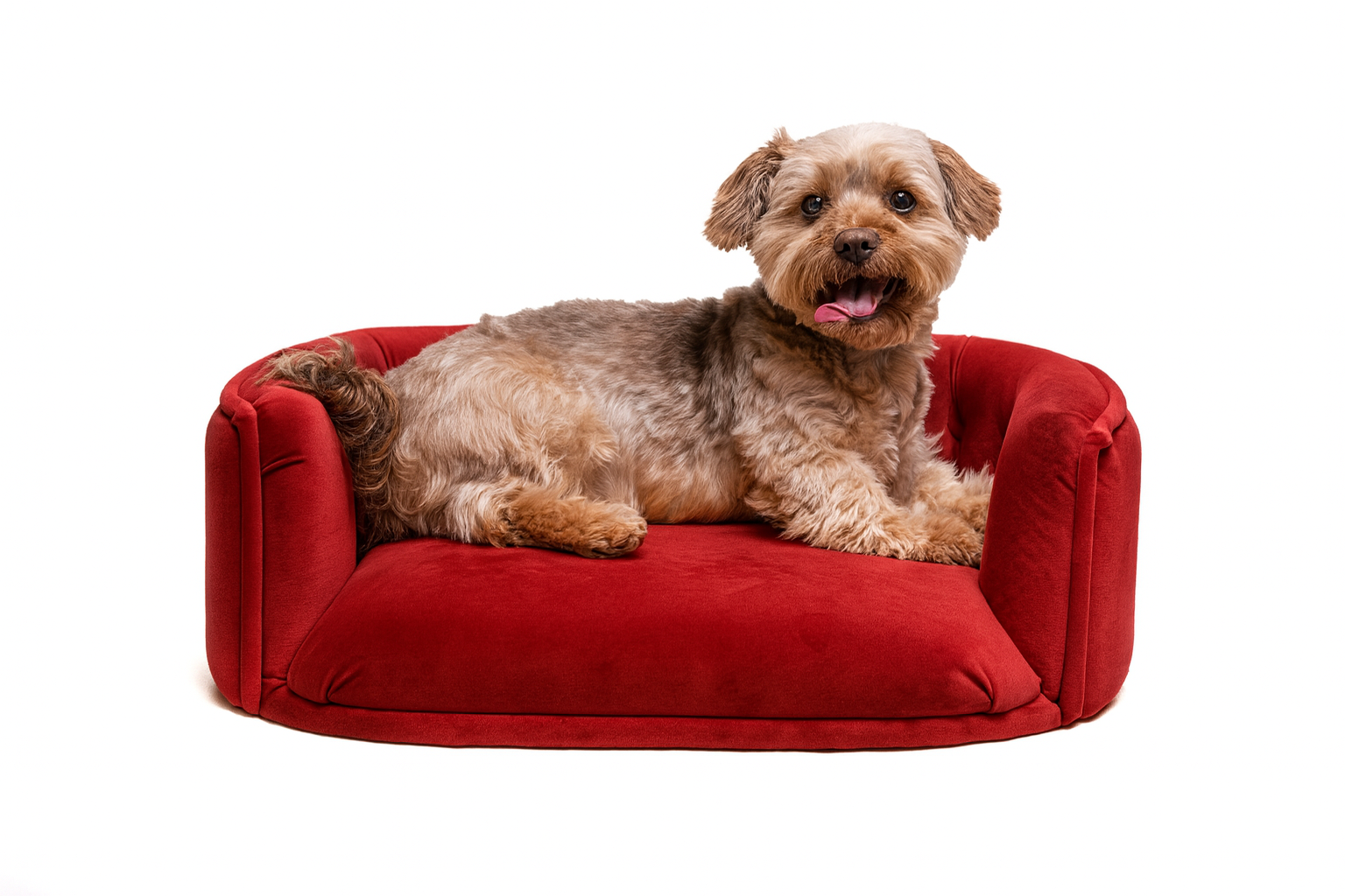 Chesterfield pelíšek pro malé psy – bordó samet