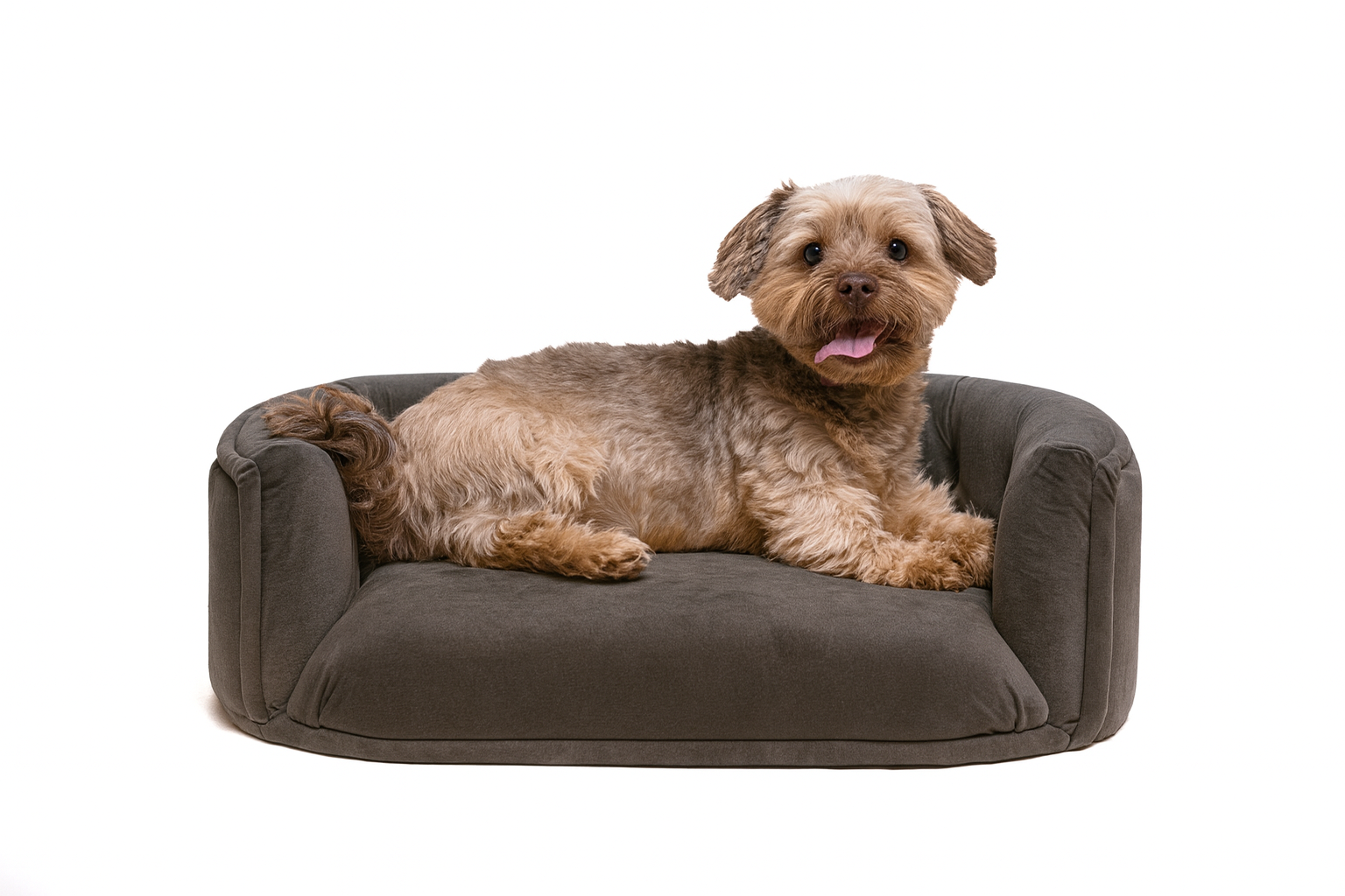 Chesterfield pelíšek pro malé psy – Tmavě šedý samet