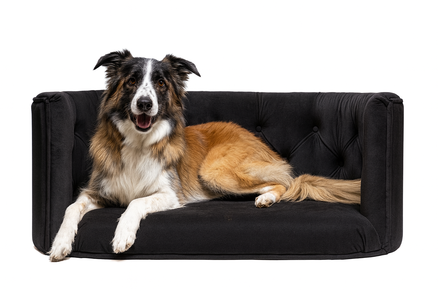 Pelíšek Chester pro velké psy - Černý samet