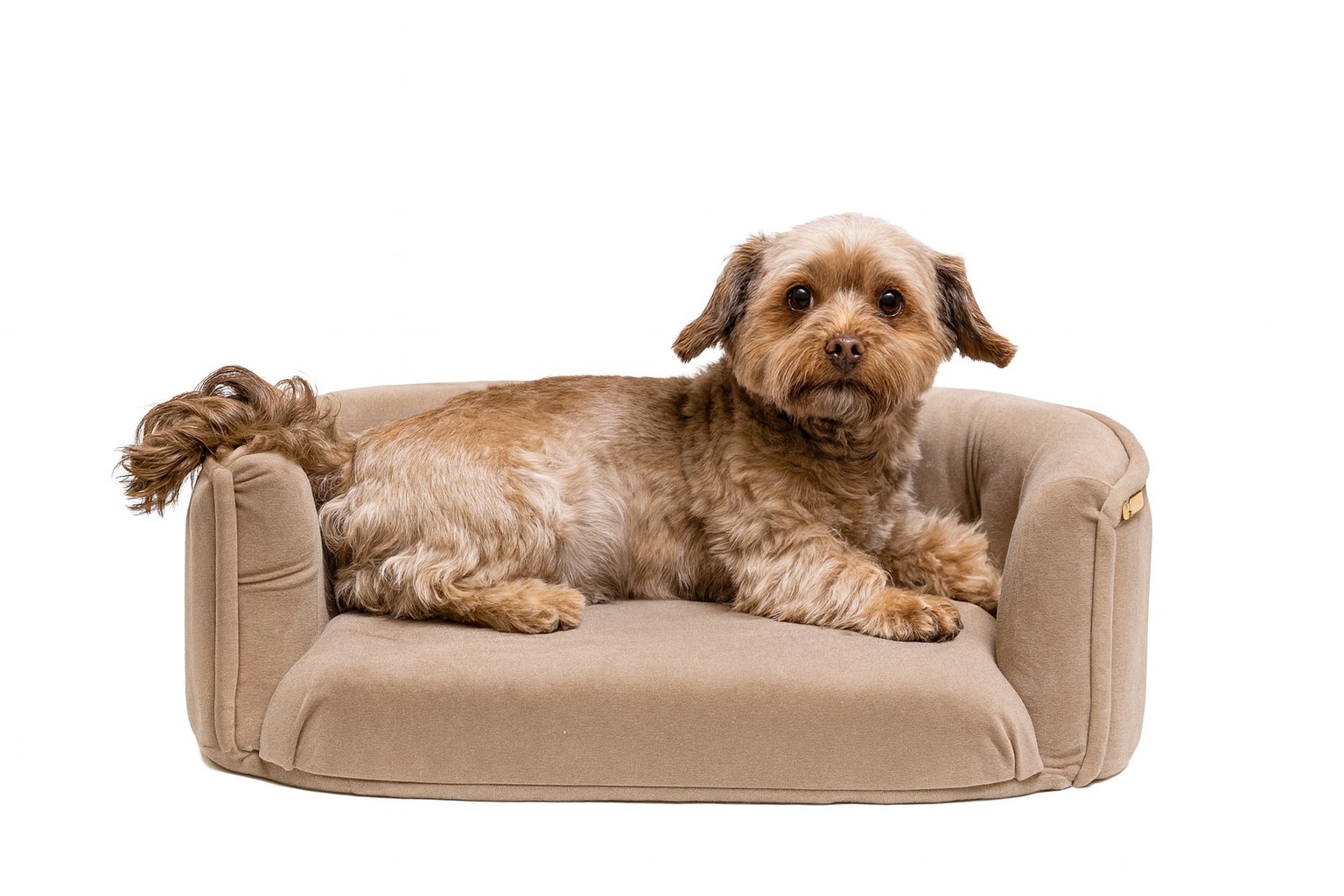 Chesterfield pelíšek pro malé psy – samet Cappuccino