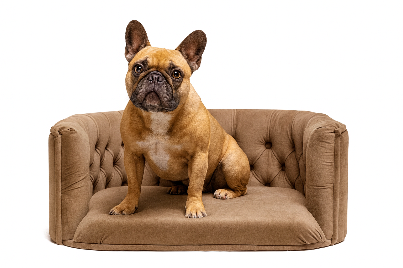 Pelíšek Chester pro střední psy – Tmavě hnědý samet