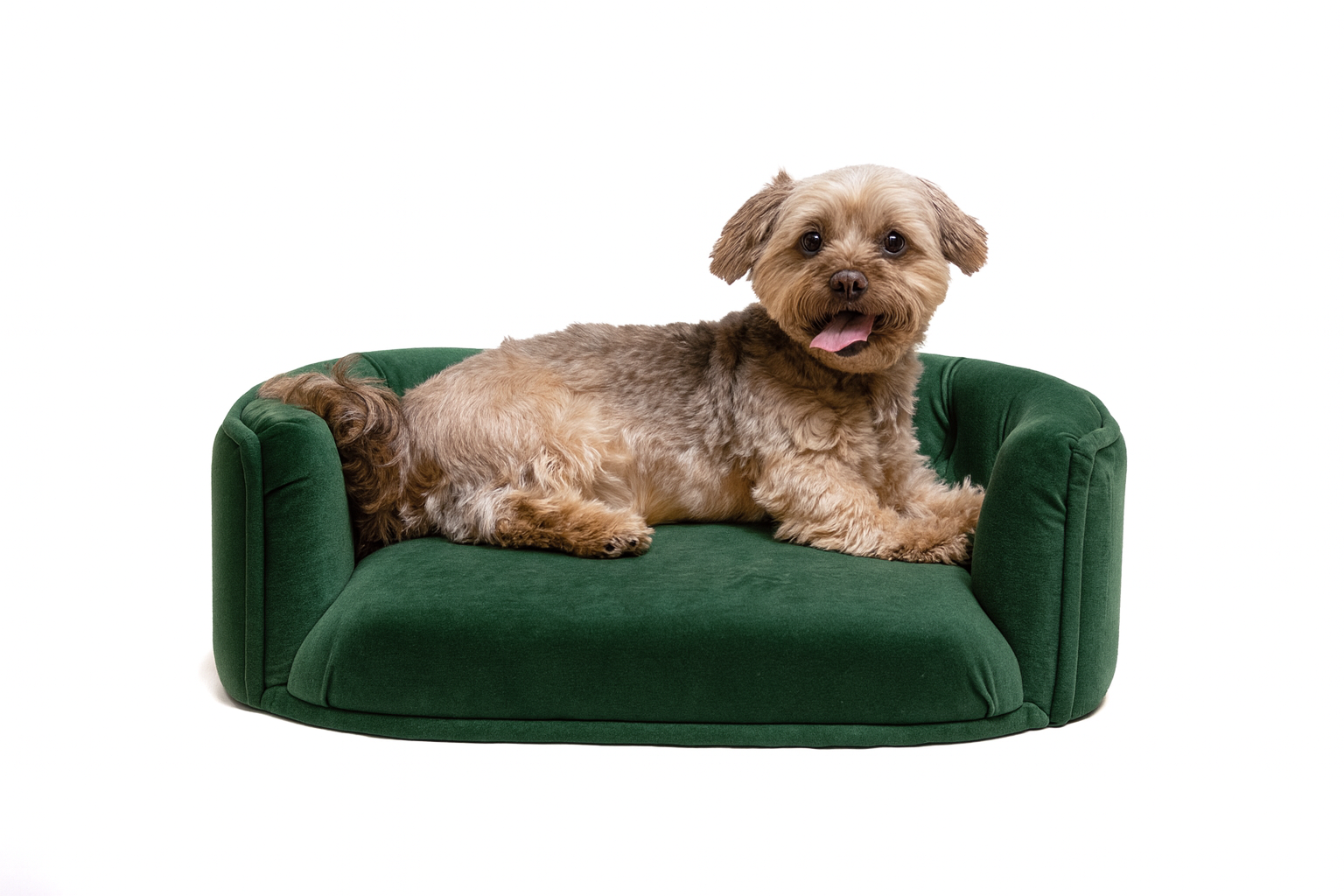 Chesterfield pelíšek pro malé psy – Tmavě zelený samet