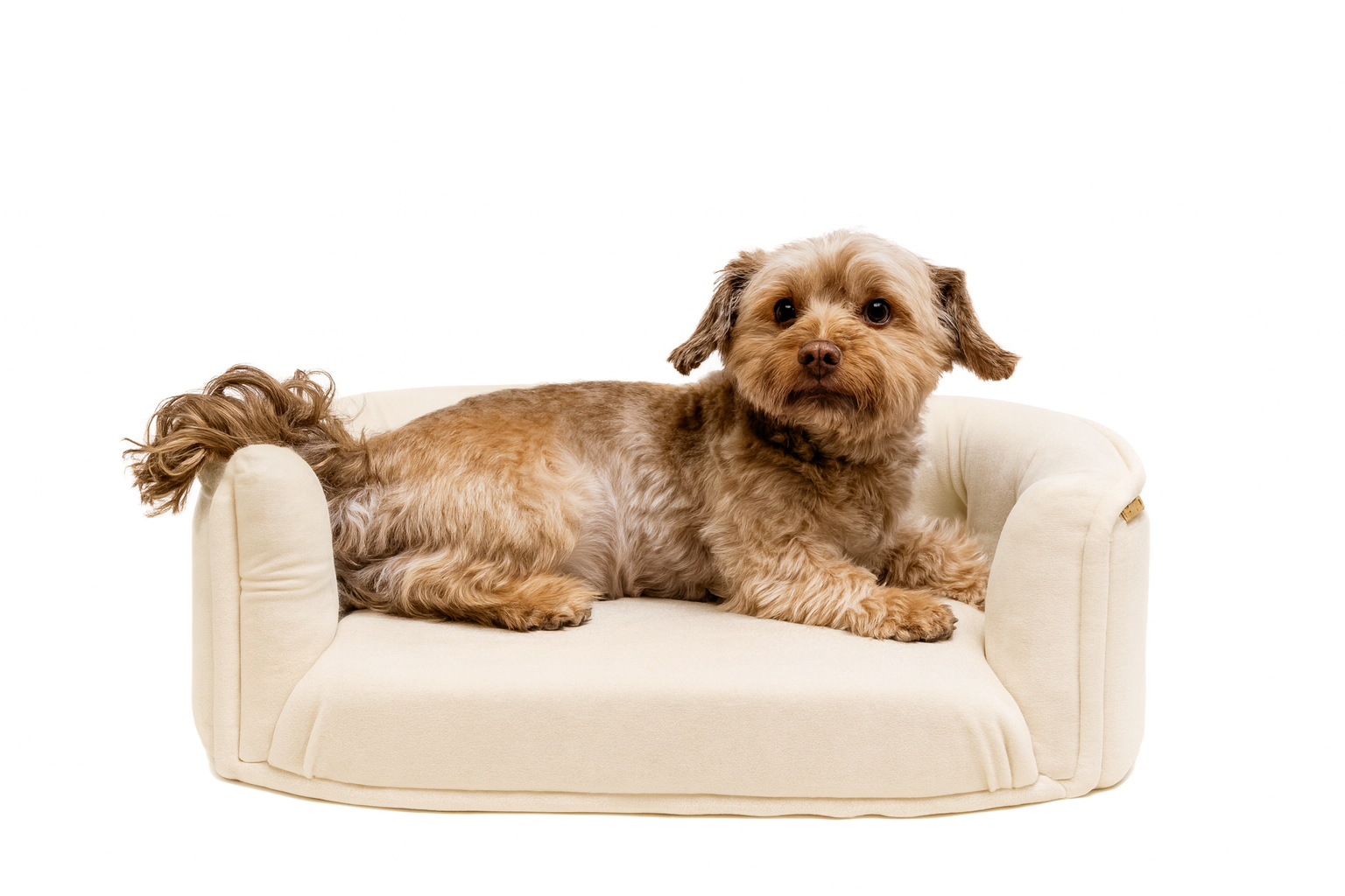Chesterfield pelíšek pro malé psy – Krémový samet