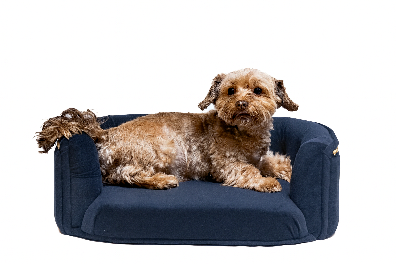 Chesterfield pelíšek pro malé psy – Tmavě modrý samet