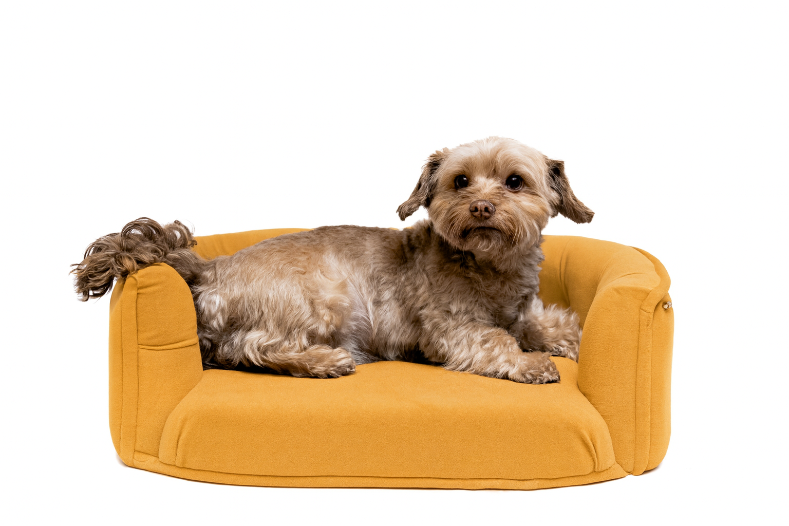 Chesterfield pelíšek pro malé psy – Hořčicový samet