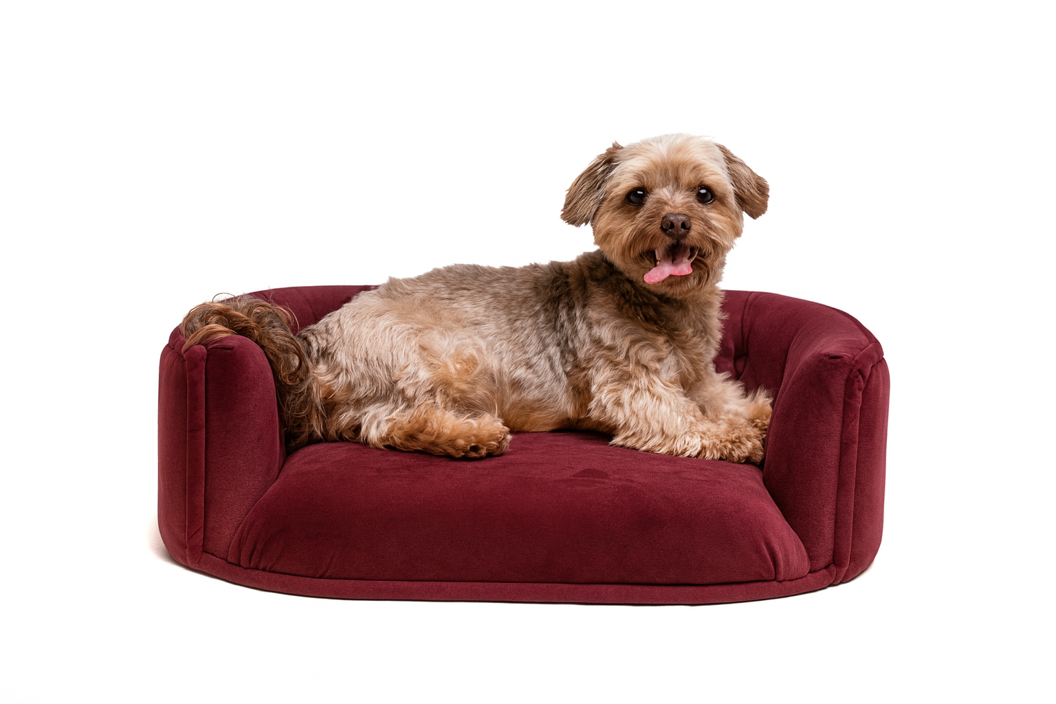 Chesterfield pelíšek pro malé psy – Ostružinový samet